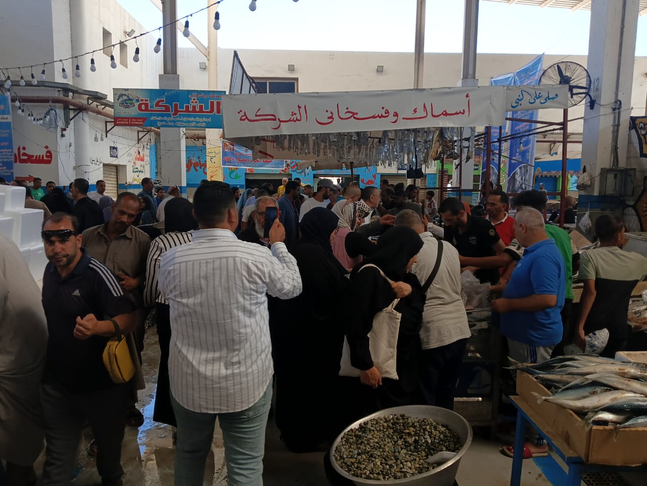زحام على الأسماك بالإسماعيلية زحام على الأسماك بالإسماعيلية