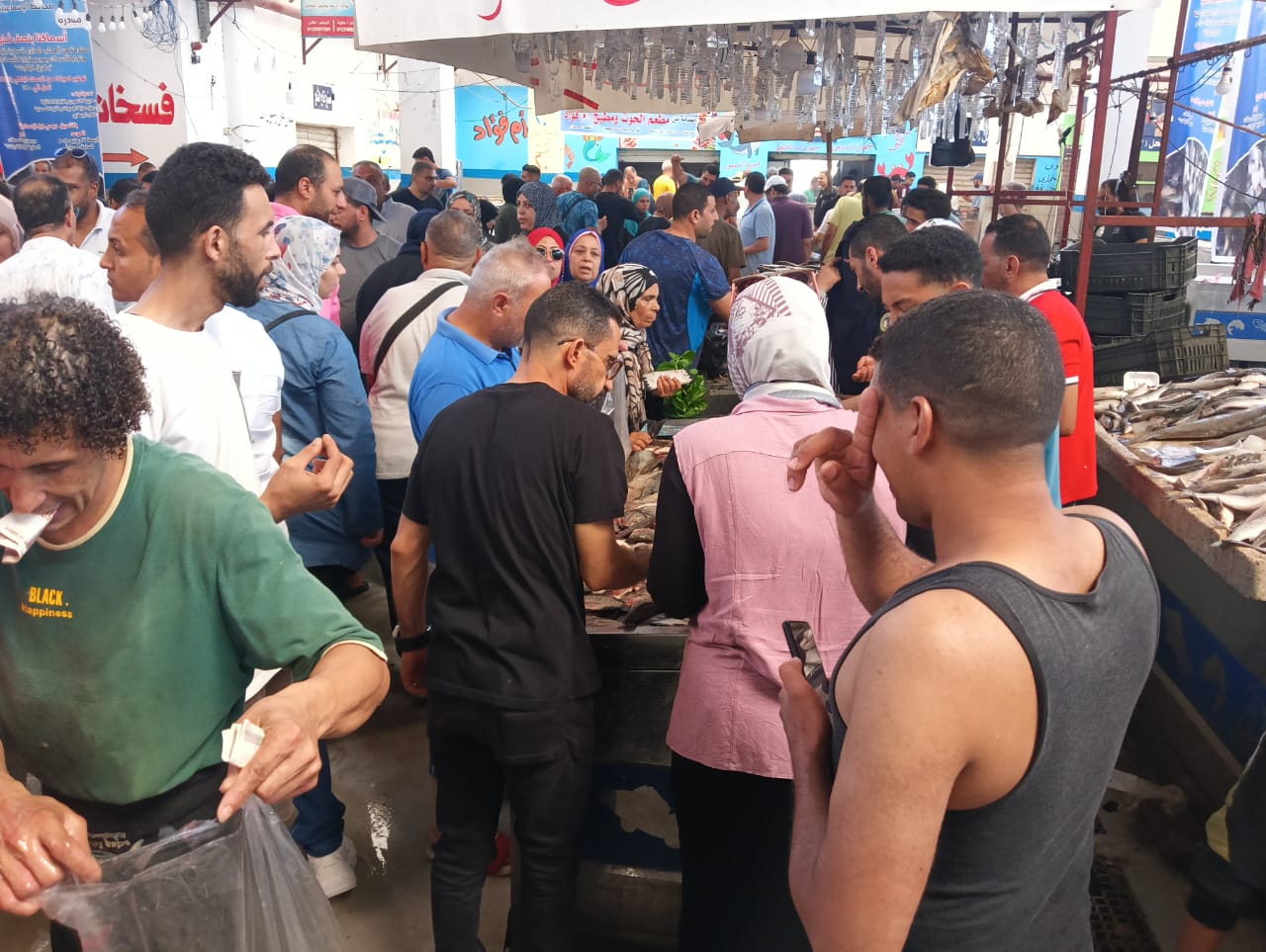 اقبال كبير فى الإسماعيلية على شراء الاسماك اقبال كبير فى الإسماعيلية على شراء الاسماك