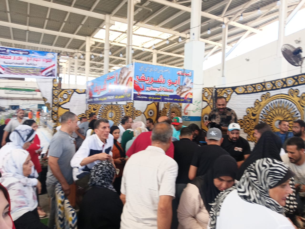 مبادرة اسماكنا بنصف الثمن بالإسماعيلية مبادرة اسماكنا بنصف الثمن بالإسماعيلية