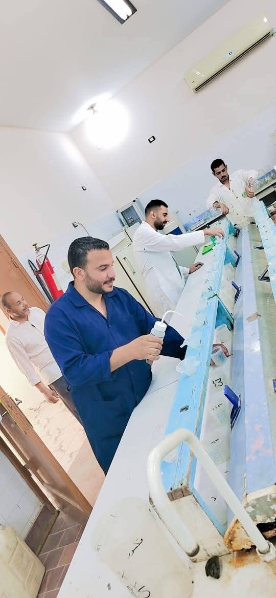 اثناء التدريب على اعمال التحليل اثناء التدريب على اعمال التحليل
