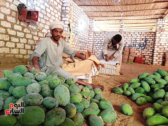 فرز-الأنواع فرز-الأنواع