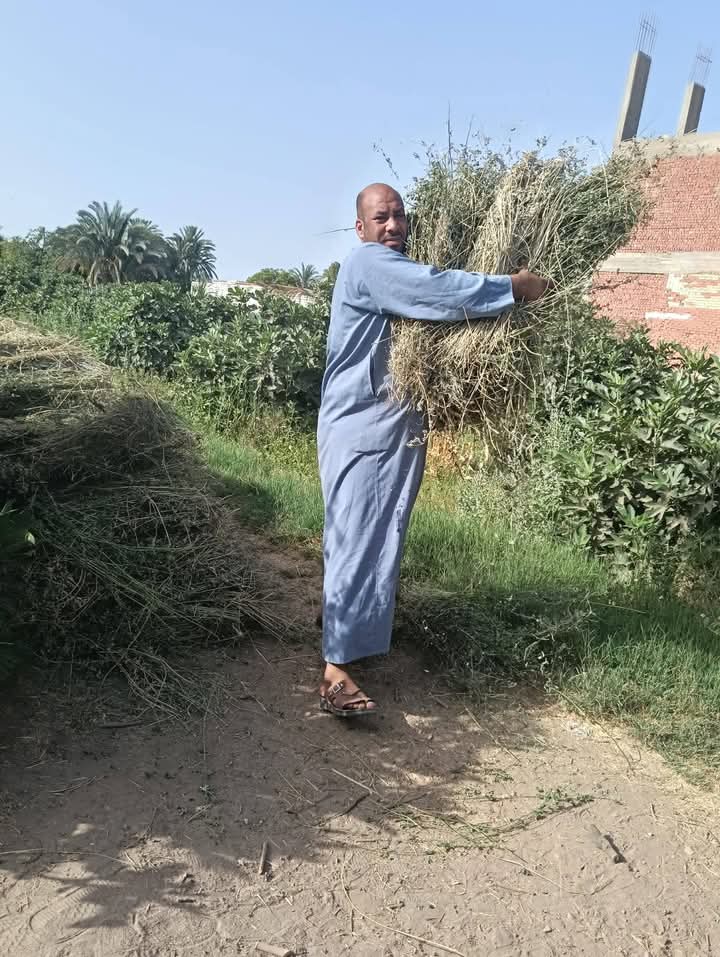 الاستفادة من المتبقيات الزراعية الاستفادة من المتبقيات الزراعية