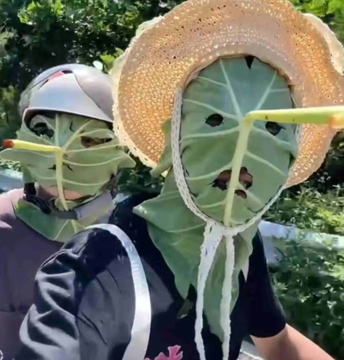 قناع اللوتس للحماية من الشمس