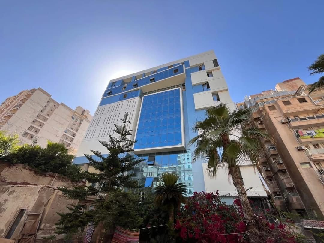 اكاديميه الفنون بالاسكندريه