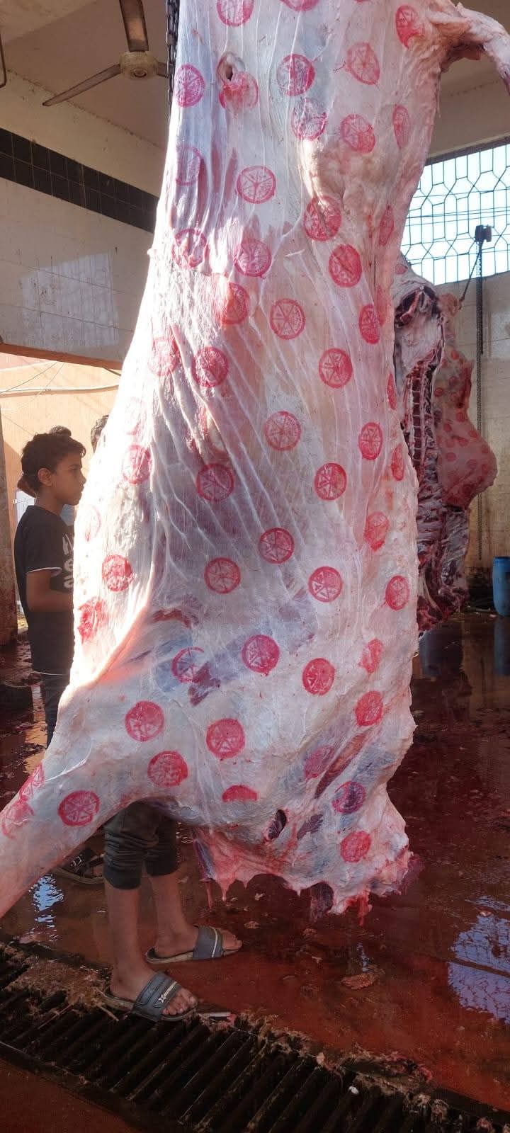 ذبح تحت إشراف بيطري