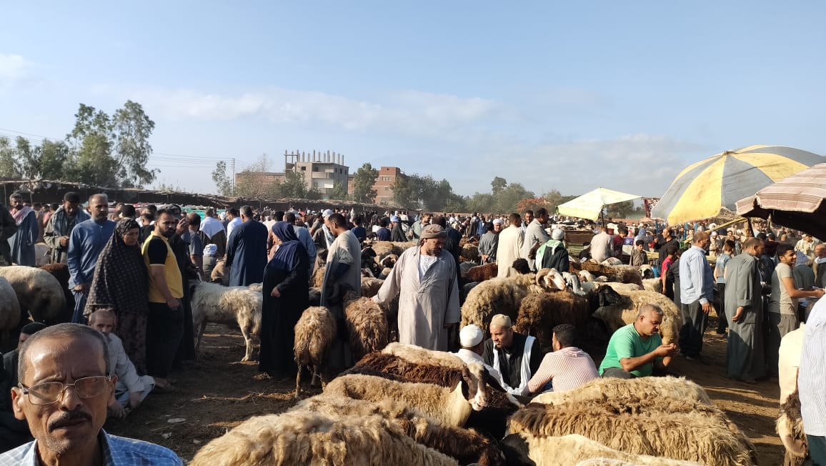 سوق الثلاثاء سوق الثلاثاء