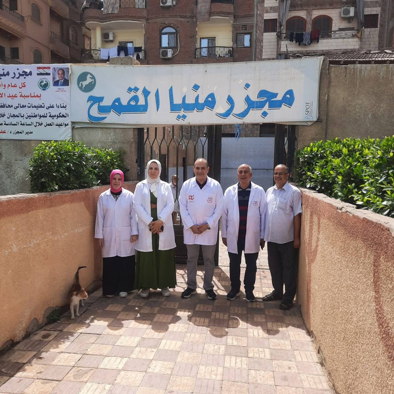 بيطرين  مجزر منيا القمح