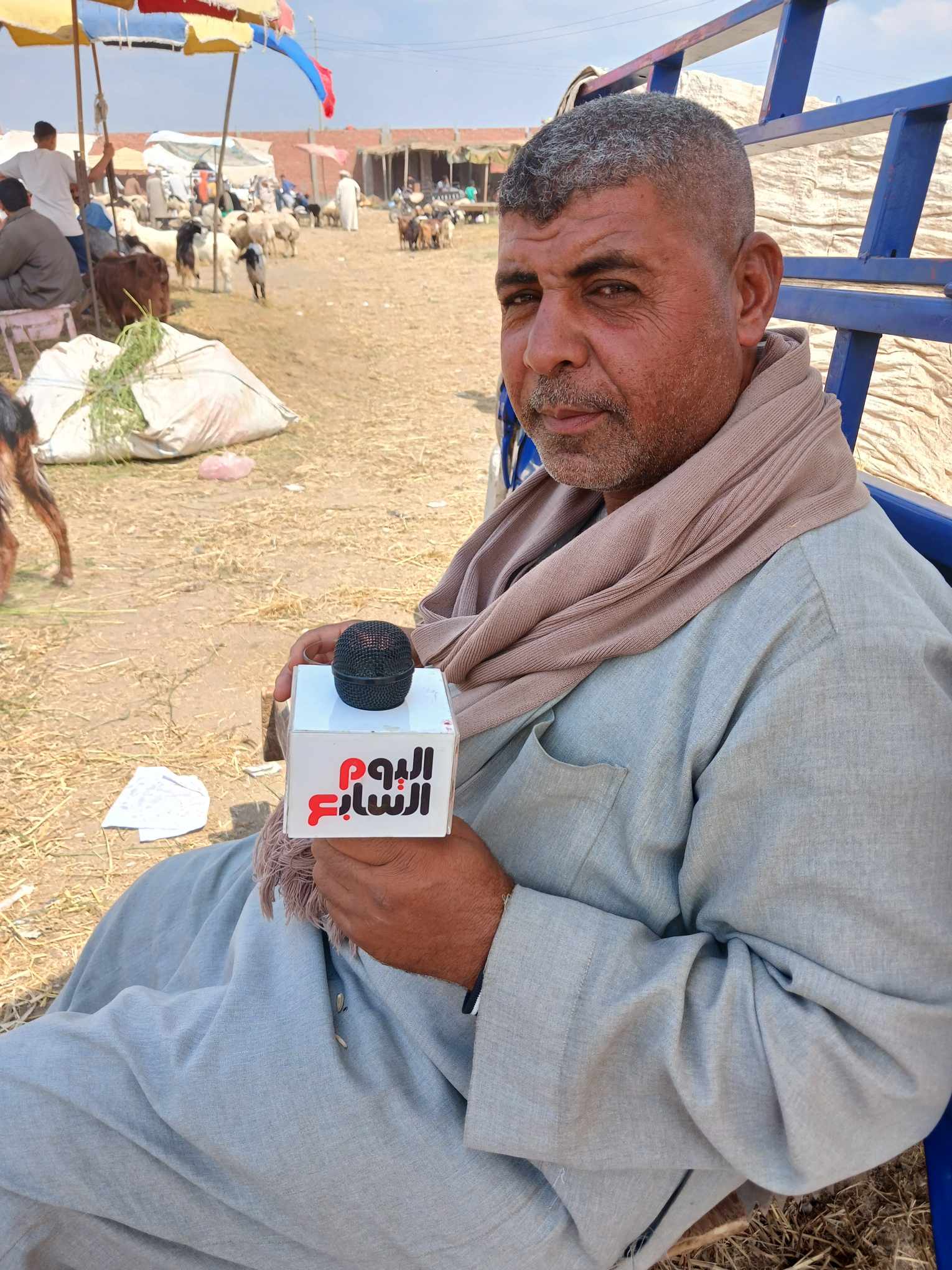 العم احمد تاجر اغنام