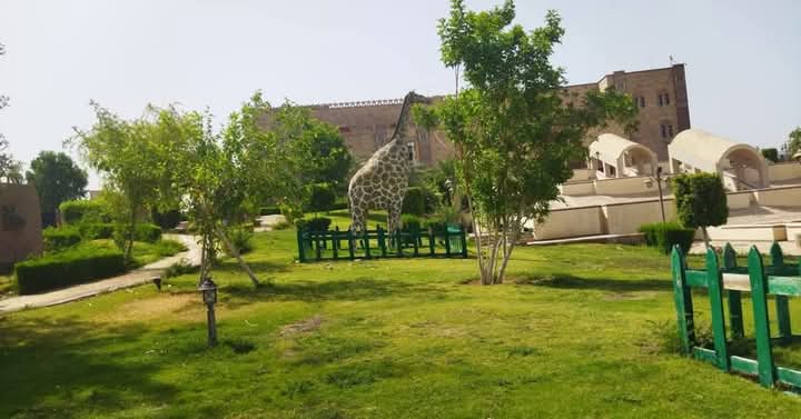 اماكن للترفيه والفسحة في العيد