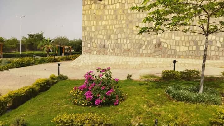 بيت العائلة الافريقية