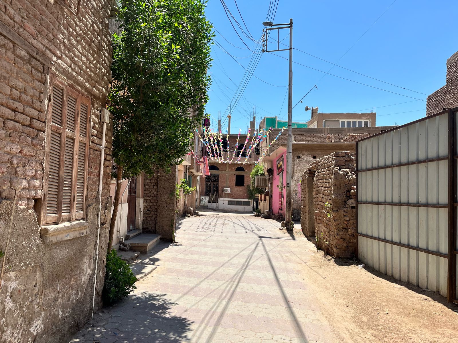 حول الشوارع إلى جنة (3)