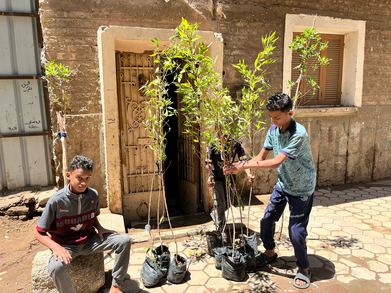 حول الشوارع إلى جنة (5)