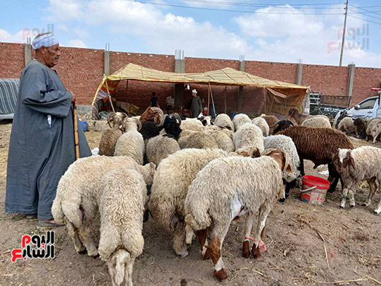 الخراف-البلدية الخراف-البلدية