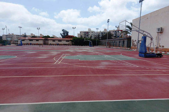 ملاعب السلة