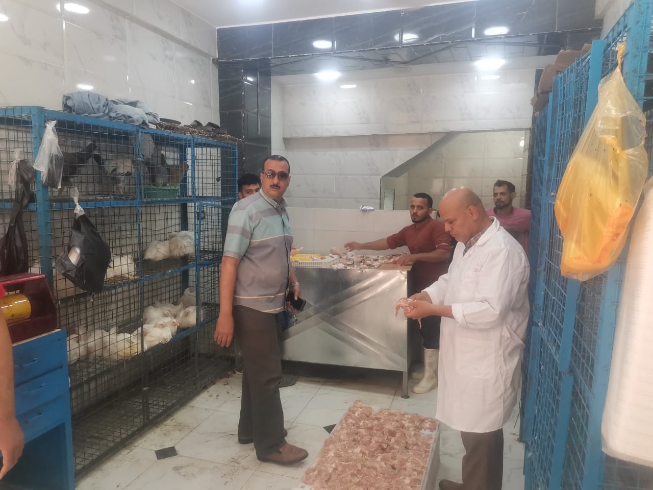 فحص محلات الدواجن فحص محلات الدواجن
