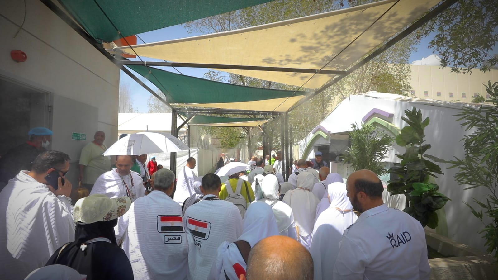 نجاح خطة تصعيد حجاج القرعة الى عرفات    (5)