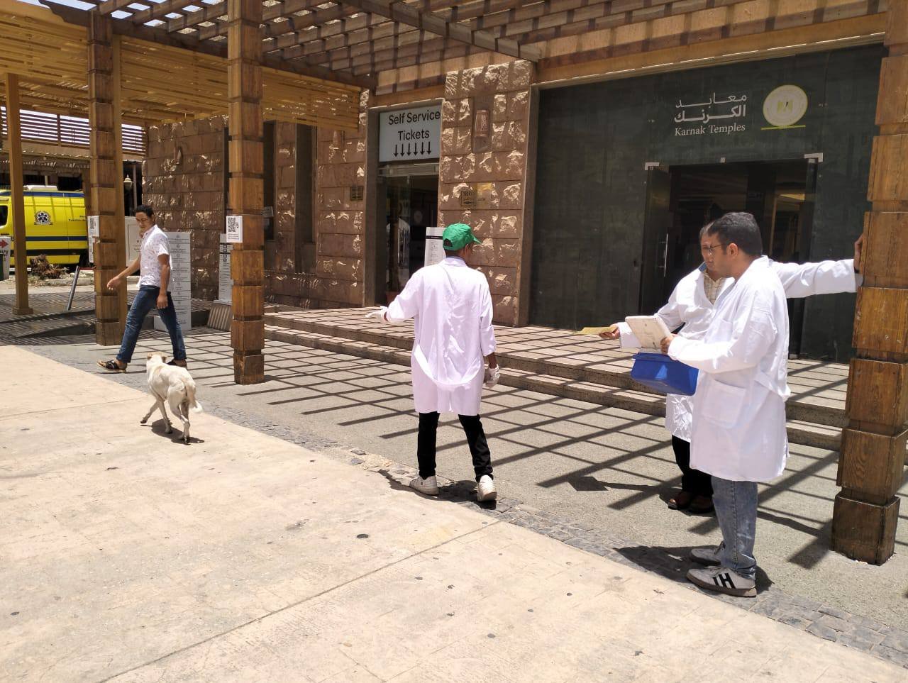 الفرق البيطرية تحصن الكلاب الضالة داخل معابد الكرنك بمدينة الأقصر الفرق البيطرية تحصن الكلاب الضالة داخل معابد الكرنك بمدينة الأقصر