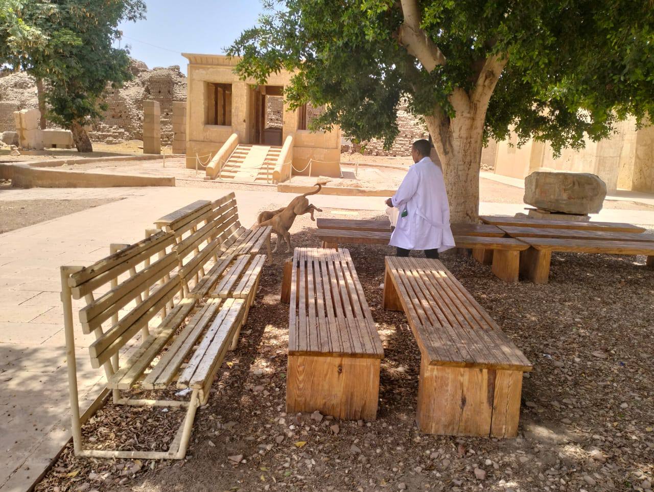 أعمال تحصين الكلاب الضالة داخل معابد الكرنك بمدينة الأقصر أعمال تحصين الكلاب الضالة داخل معابد الكرنك بمدينة الأقصر