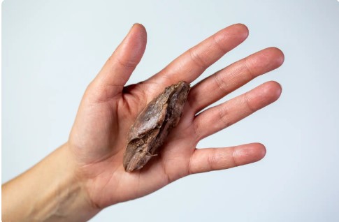 قطعة اللحوم للطفل أكثر من 12 شهر