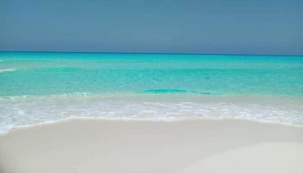 أجمل شواطئ مرسى مطروح تقع غربي المدينة  (6)