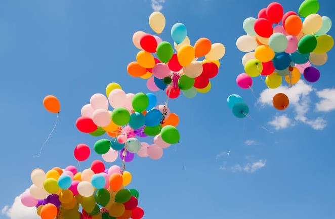 فرحة العيد فرحة العيد