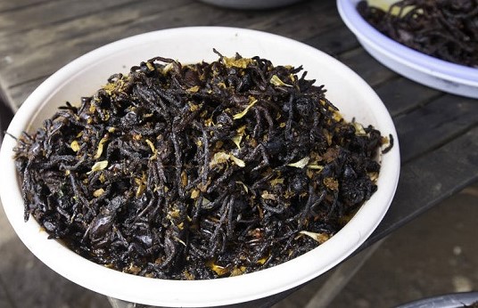 عنكبوت عنكبوت