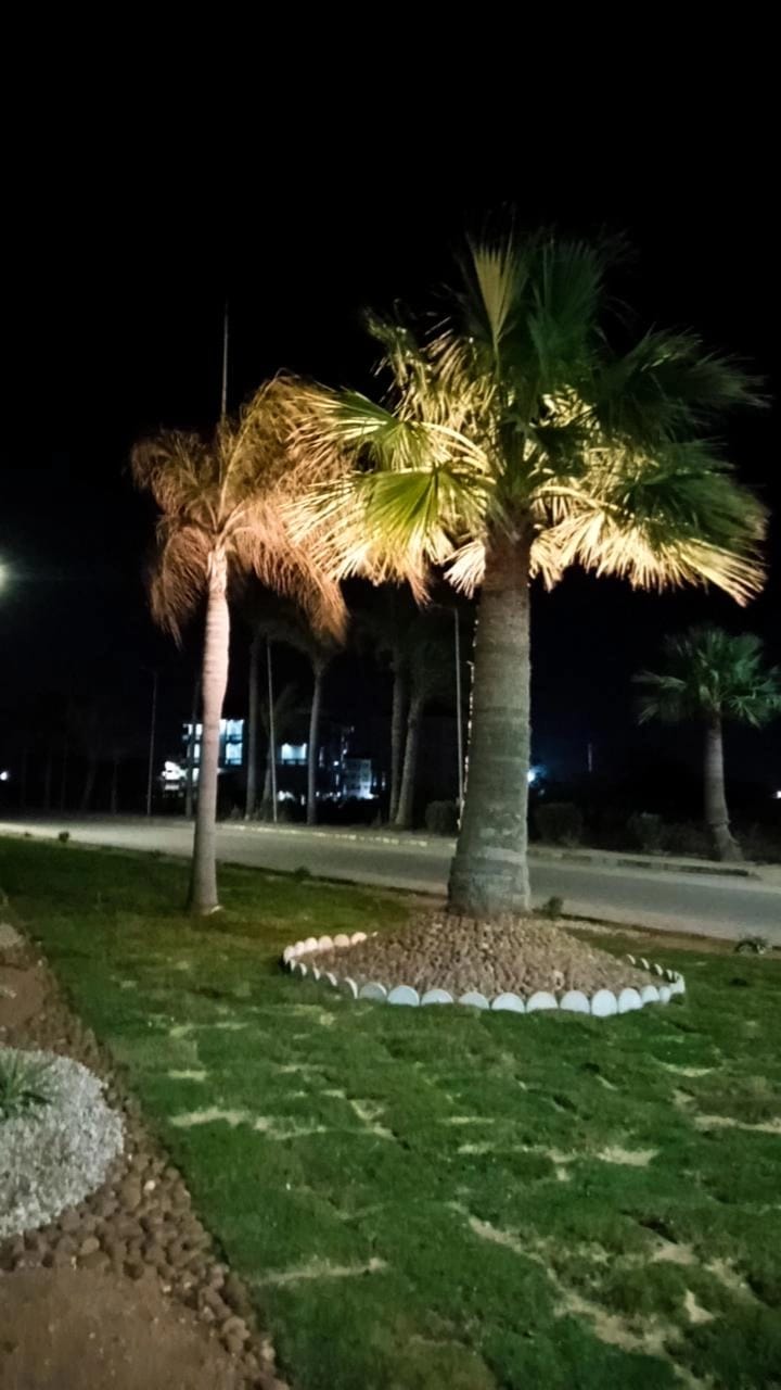 جمال رأس البر جمال رأس البر