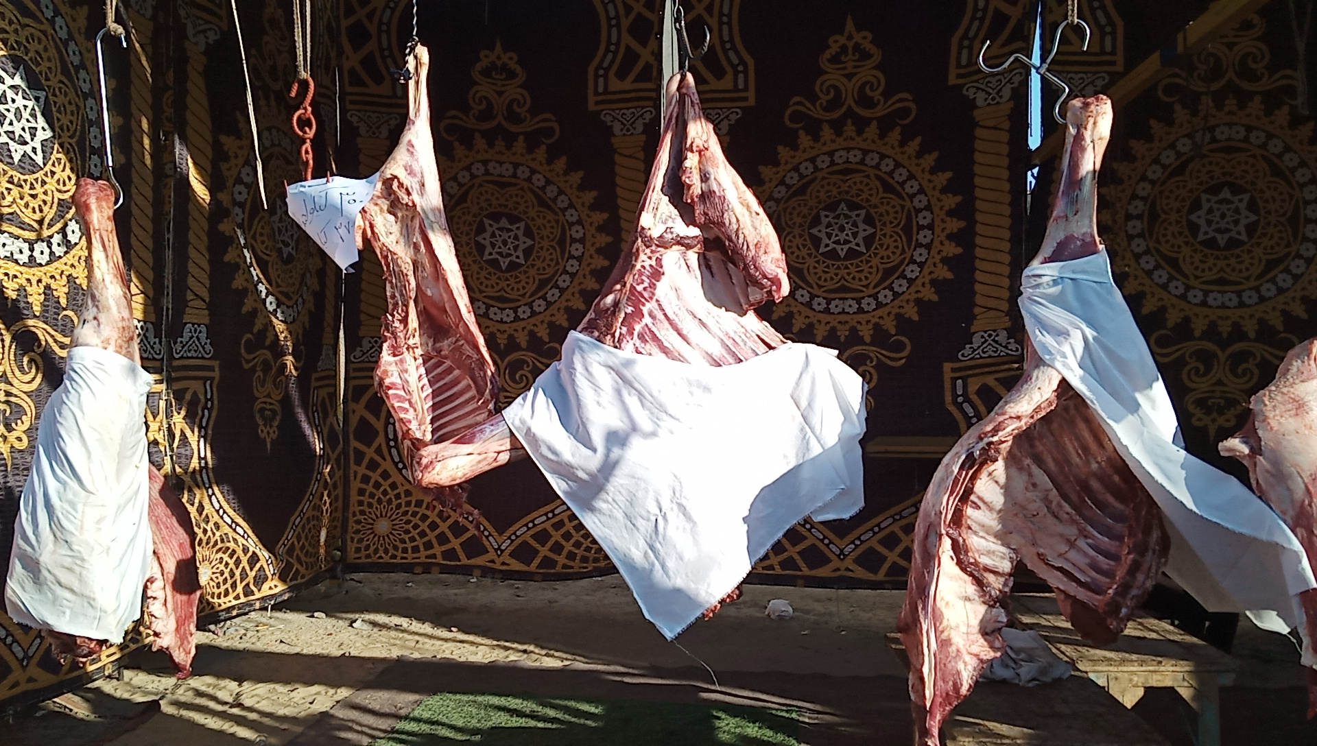 افتتاح معارض بيع اللحوم بأسعار مخفضة بالبحيرة (2)