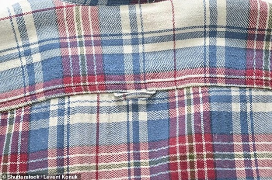 الحلقة الخلفية للقميص