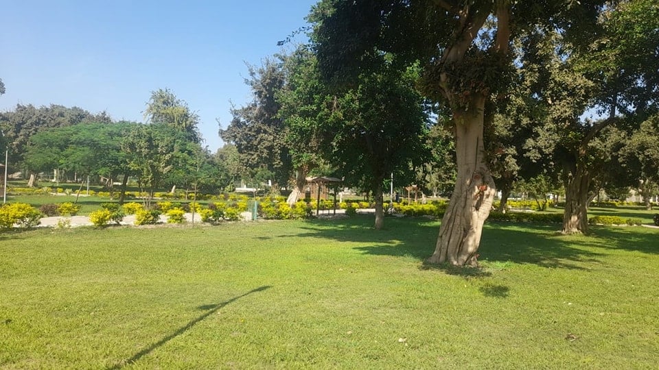 الأشجار النادرة بحدائق القناطر الخيرة الأشجار النادرة بحدائق القناطر الخيرة