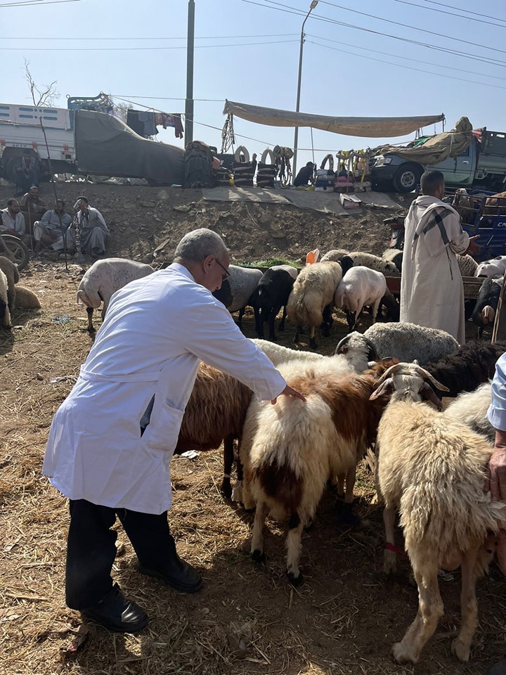 الفحص بالأسواق الفحص بالأسواق