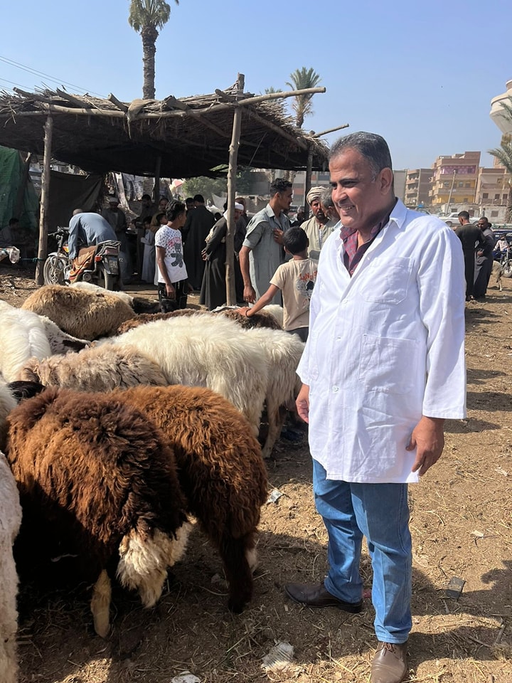 أسواق الأغنام أسواق الأغنام