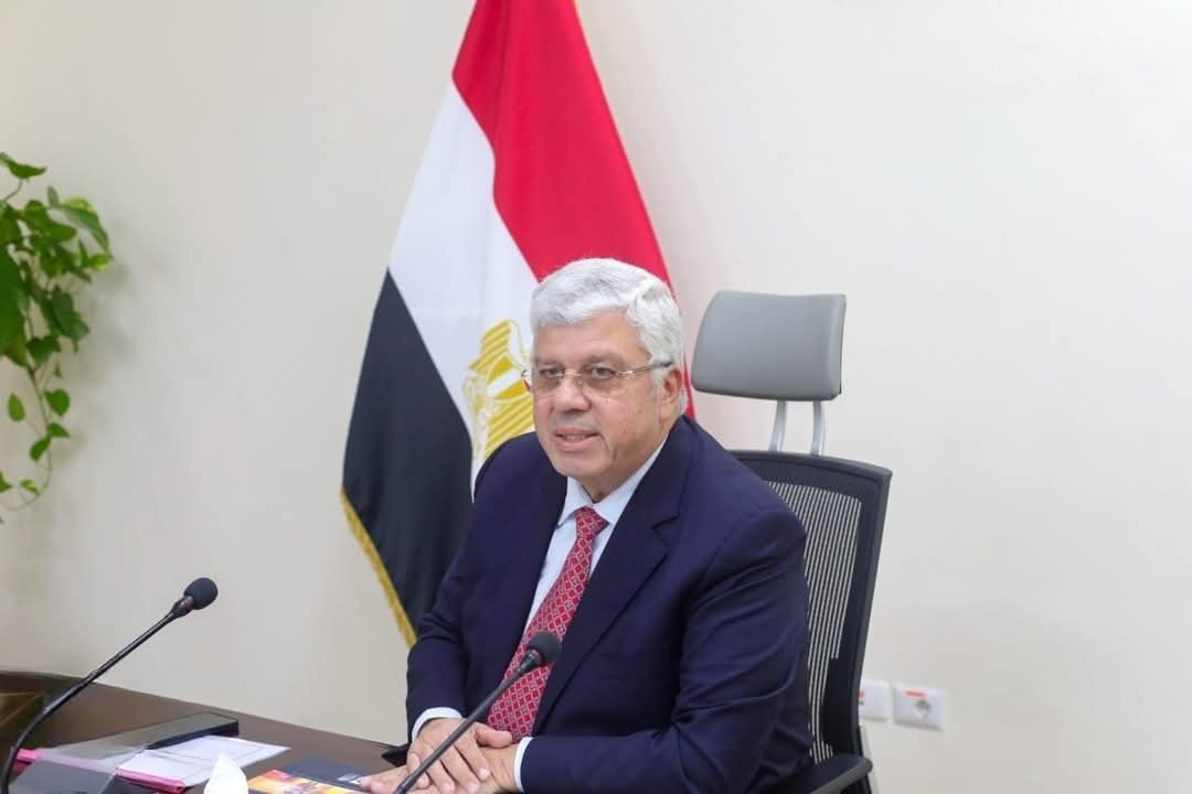 د. أيمن عاشور  (3)