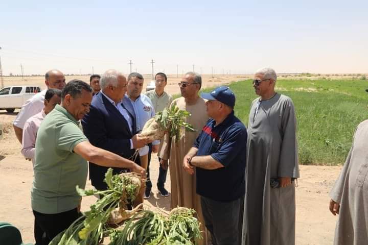 محافظ الوادي الجديد يتفقد مزارع البنجر محافظ الوادي الجديد يتفقد مزارع البنجر