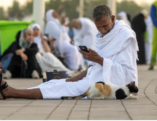 حاج بجواره قطة