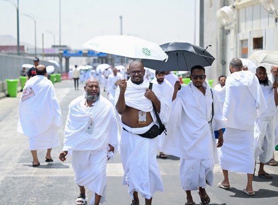 الحج (7)