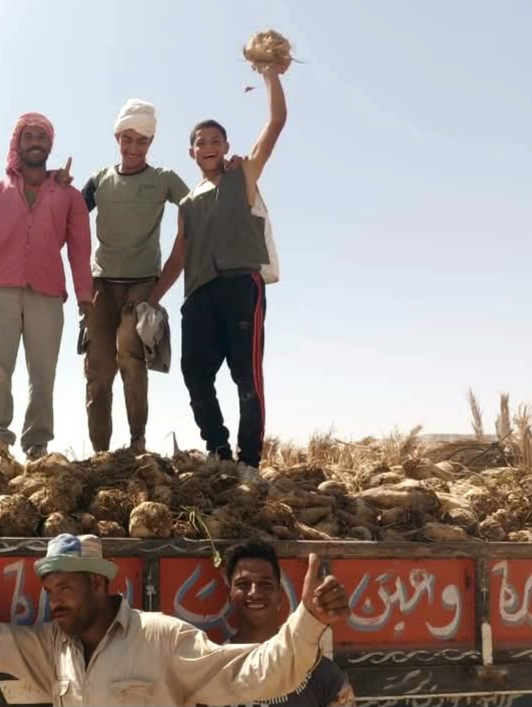 نجاح التجربة فى أرض غرب الموهوب نجاح التجربة فى أرض غرب الموهوب
