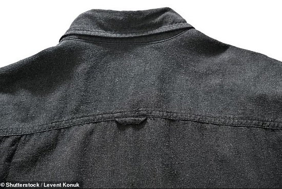 حلقة القميص