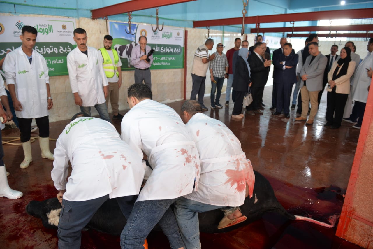 محافظ الدقهلية يشهد ذبح 65 رأس أضاحى  (9)