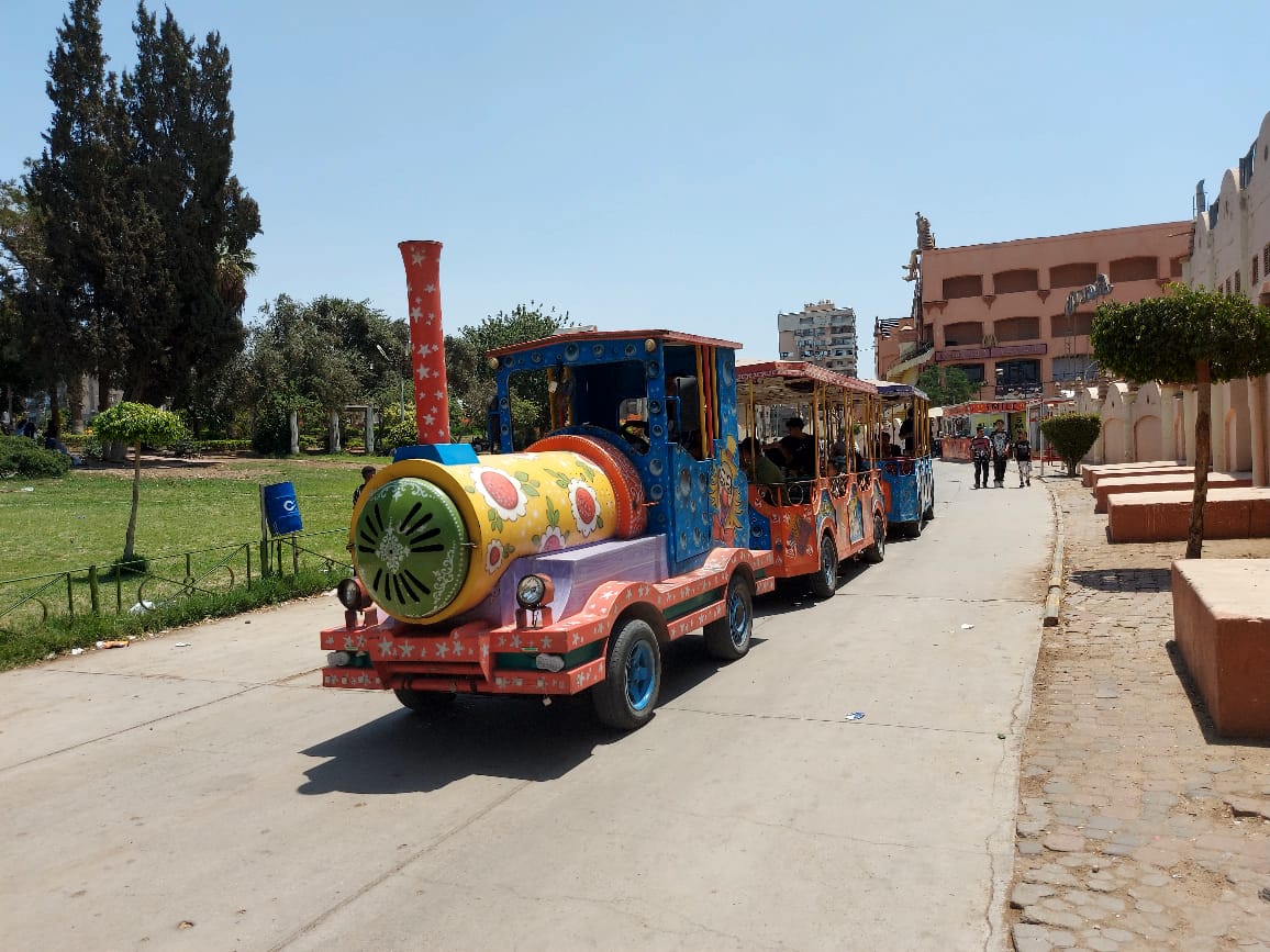 WhatsApp Image 2025-06-06 at 11.24.48 AM