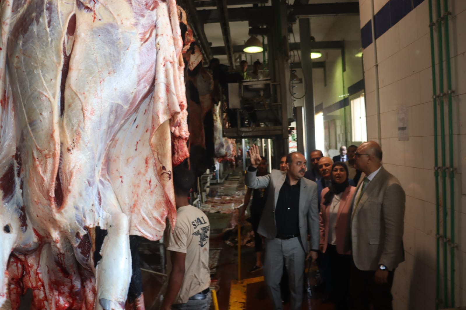 اللحوم بالمجزر اللحوم بالمجزر