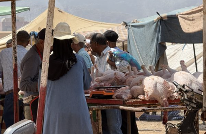 إقبال على لحوم الرومى فى المغرب