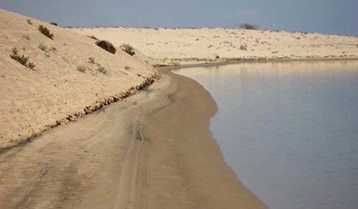 ثروات سيناء ثروات سيناء