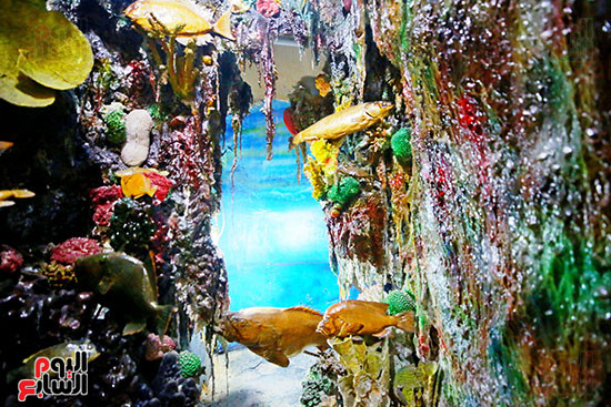 من هنا تبدأ حكاية المحيطات