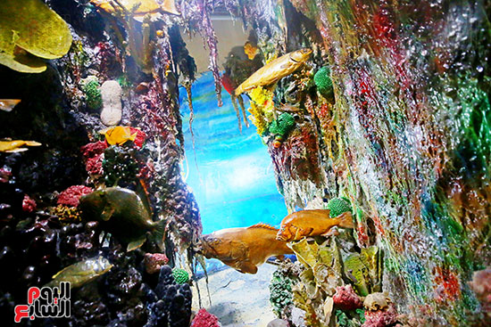 جمال الطبيعة