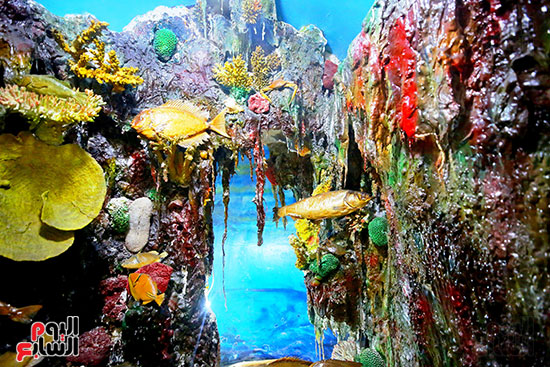 جمال متحف الاسكندرية