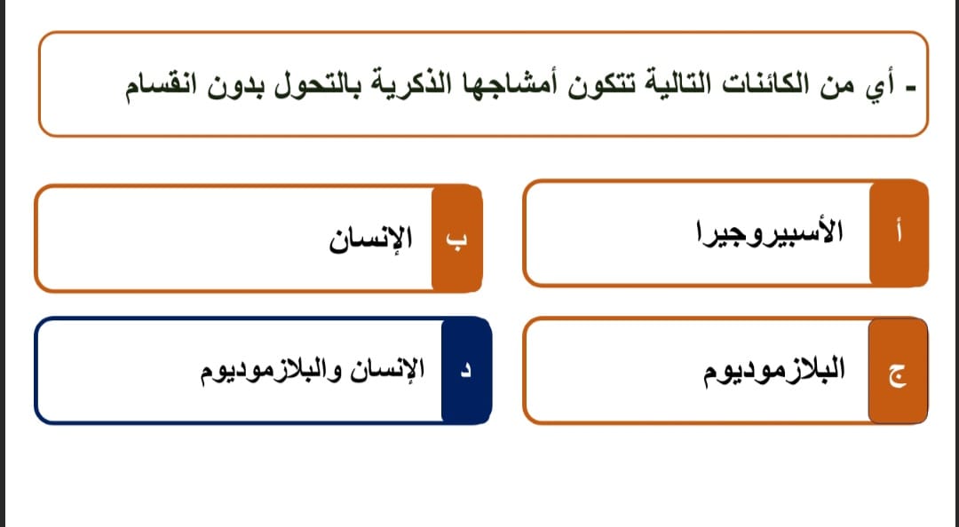 السؤال السابع