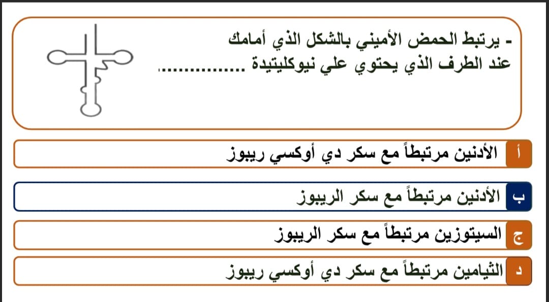 السؤال الثانى