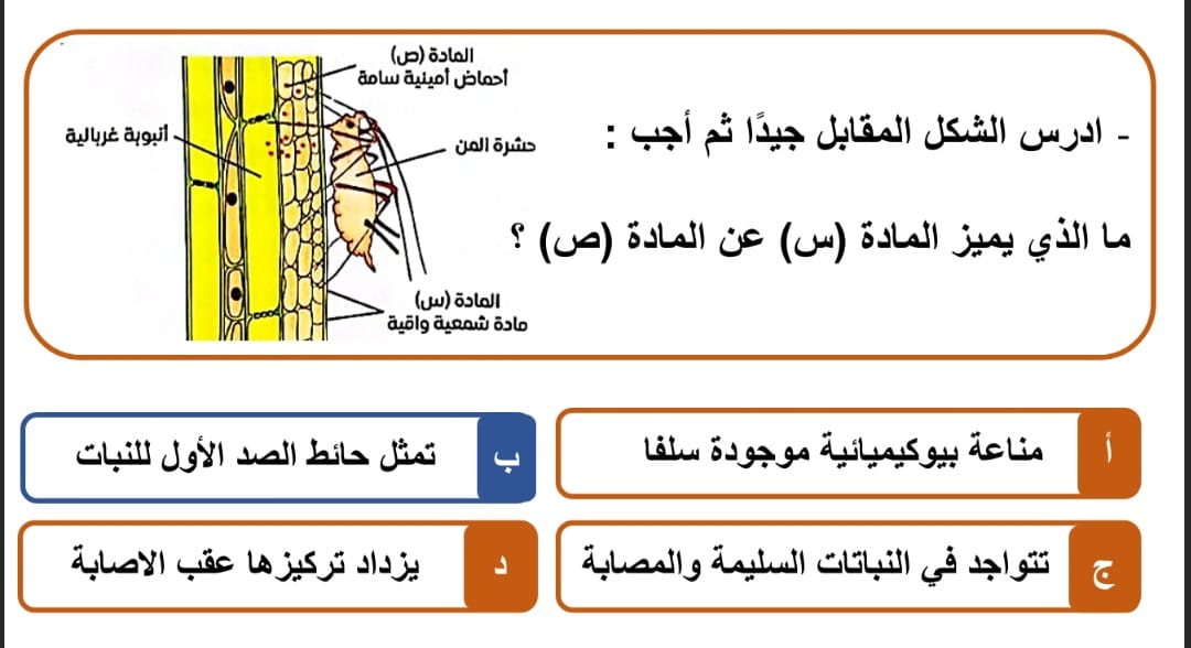 السؤال الخامس