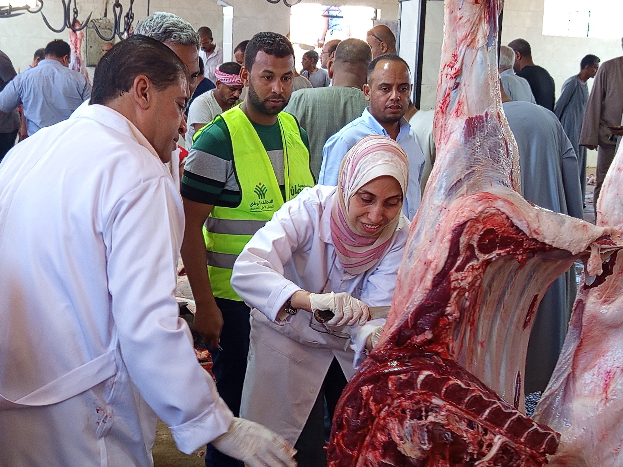 متابعة أضحيات العيد فى مجازر الأقصر